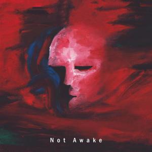 Album Not Awake from Hera