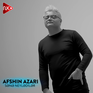 Listen to Sənə Neylədilər song with lyrics from Afshin Azari