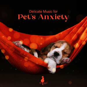Album Delicate Music for Pet’s Anxiety (Soothing Sounds for Anxiety, Sleep and Stress Relief) oleh Pet Music Academy
