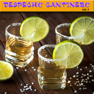 Dengarkan lagu Penas nyanyian Joe Posada dengan lirik