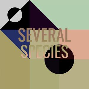 Listen to Several Species song with lyrics from Zaio Baht