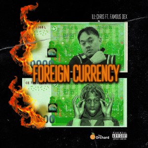 Foreign Currency (Explicit)