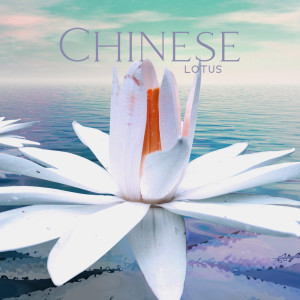 Album Chinese Lotus (Taoist Wu Tao Meditation, Yin-Yang Wisdom, Cleansing, Visualization for Healing) oleh Chinese Relaxation and Meditation