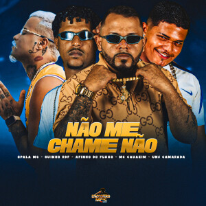Album Não Me Chame Não (Explicit) from Afinho do Fluxo