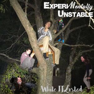 While IT Lasted的專輯ExperiMentally Unstable