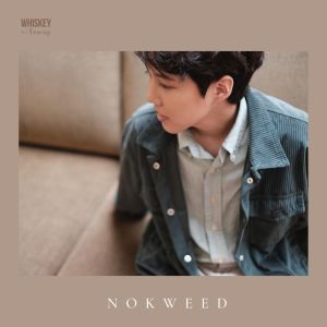 ดาวน์โหลดและฟังเพลง วันวน พร้อมเนื้อเพลงจาก Nokweed