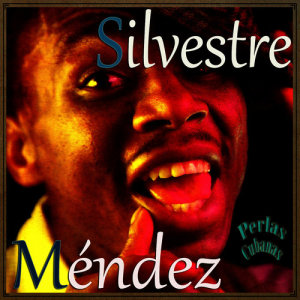 ดาวน์โหลดและฟังเพลง Tocineta พร้อมเนื้อเพลงจาก Silvestre Mendez