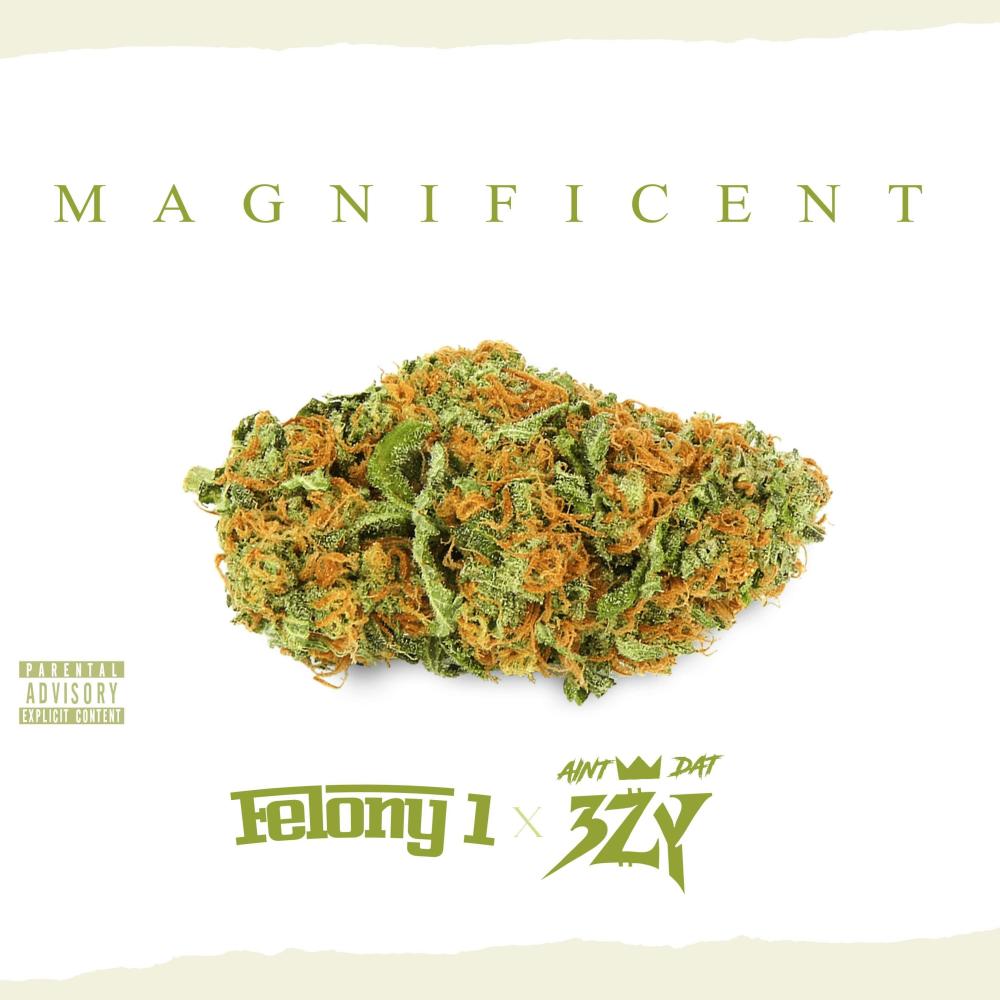 MAGNIFICENT (feat. AintDat3zy) (Explicit)