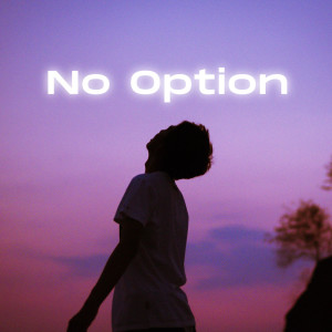 Album No Option from Slothkidd