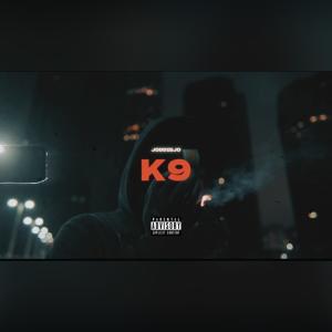 Joddie Jo的專輯K9 (Explicit)