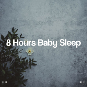 !!!" 8 Hours Baby Sleep "!!!