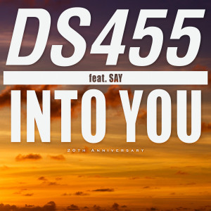 ดาวน์โหลดและฟังเพลง INTO YOU (feat. SAY [Instrumental]) (Instrumental) พร้อมเนื้อเพลงจาก DS455