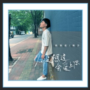 Listen to 从没想过会爱上你 (伴奏) song with lyrics from 杨路遥