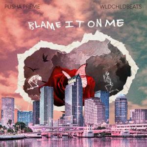 收聽Pusha Preme的Blame It On Me (Radio Edit)歌詞歌曲