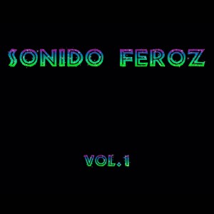 收聽Rumba San Feroz的Danza Sombría歌詞歌曲
