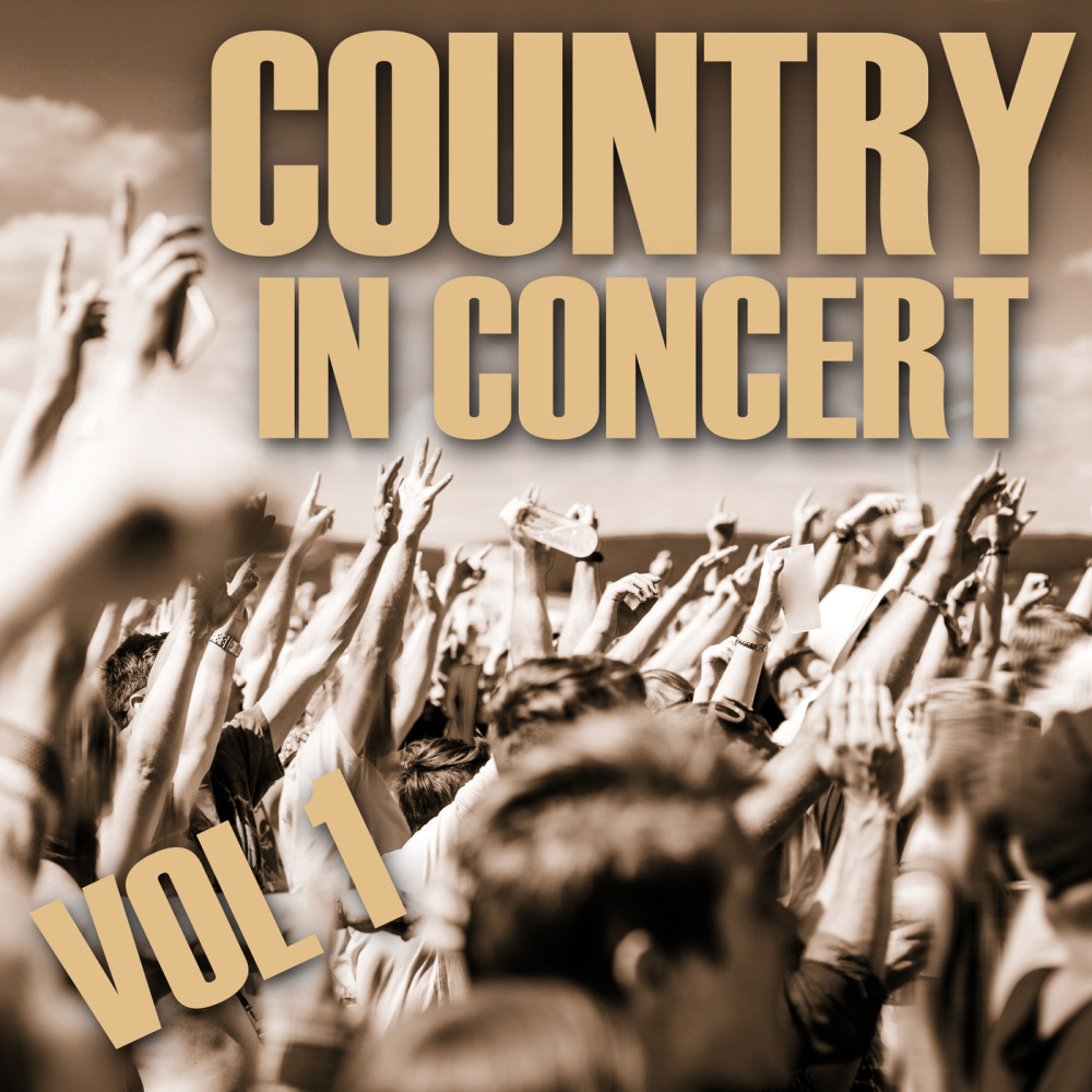 All My Ex's Live In Texas (Live)