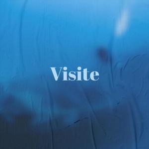 Various的专辑Visite