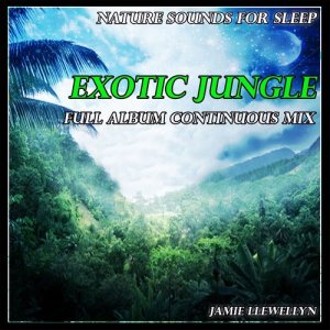 收聽Jamie Llewellyn的Natural Sounds for Sleep: Soothing Windchimes歌詞歌曲