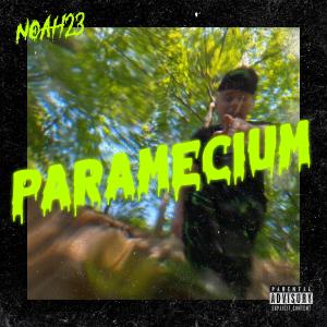 Paramecium (Explicit) dari Noah23