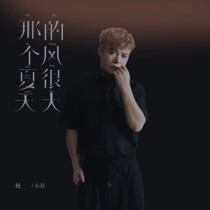楊小壯的專輯那個夏天的風很大