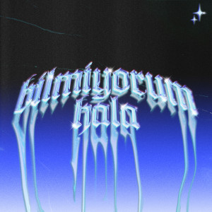 Album Bilmiyorum, hala. (Explicit) from Arslantürk
