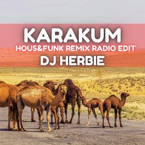 DJ Herbie的專輯Karakum (Hous&Funk Remix radio edit)