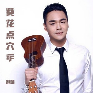 Album 葵花点穴手 from 韩晓