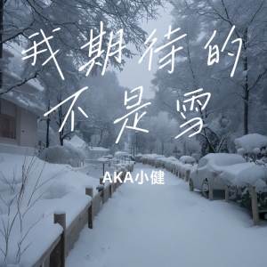 AKA小健的專輯我期待的不是雪