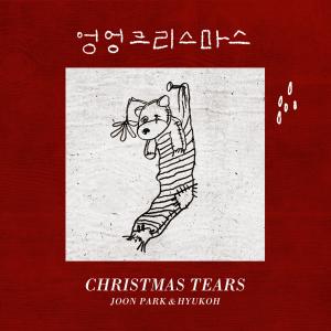 Listen to Christmas Tears song with lyrics from 박준형