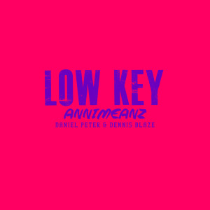 收聽Annimeanz的Low Key (Explicit)歌詞歌曲