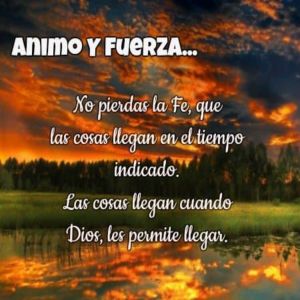 Dengarkan Tu Puedes lagu dari Relaxing Music dengan lirik
