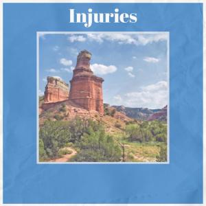 Album Injuries from Ninie Bini