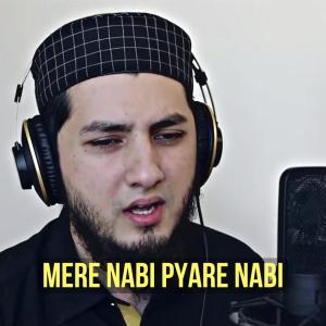 收聽Aqib Farid的Mere Nabi Pyare Nabi Vocals Only歌詞歌曲