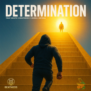 Album Determination from 