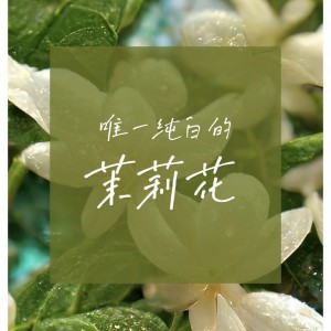 อัลบัม 梦中花 ศิลปิน 晚柠