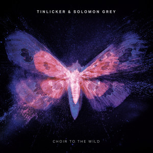 Tinlicker的專輯Choir To The Wild