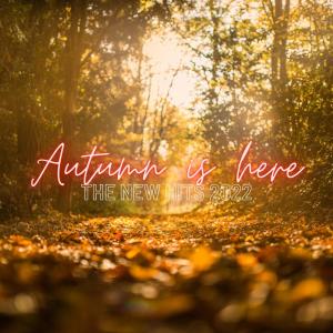 Listen to Calm Down song with lyrics from Antony Rain