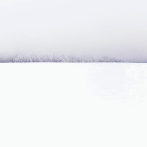 White Noise的專輯! ! Serenity Suite: White Noise Relaxation ! !