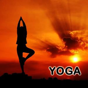 Dengarkan Yoga lagu dari Shreevalli dengan lirik