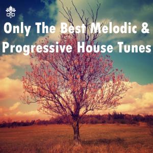 Various Artists的專輯Only The Best Melodic & Progressive House Tunes