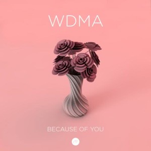 收聽WDMA的Because of You歌詞歌曲