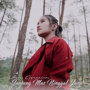 Album Tanjung Mas Ninggal Janji from Dhevy Geranium