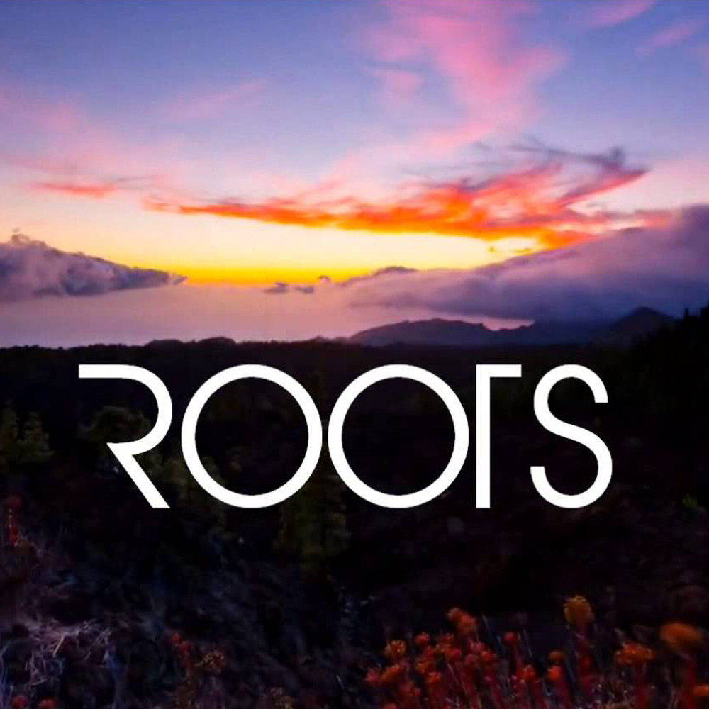 Roots (Originally Performed By Imagine Dragons) [Instrumental Version] (Instrumental Version)