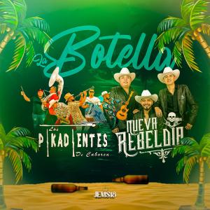 Nueva Rebeldía的專輯La Botella