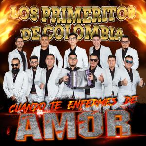 ดาวน์โหลดและฟังเพลง El Año Viejo พร้อมเนื้อเพลงจาก Los Primeritos de Colombia