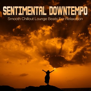 Album Sentimental Downtempo from Various