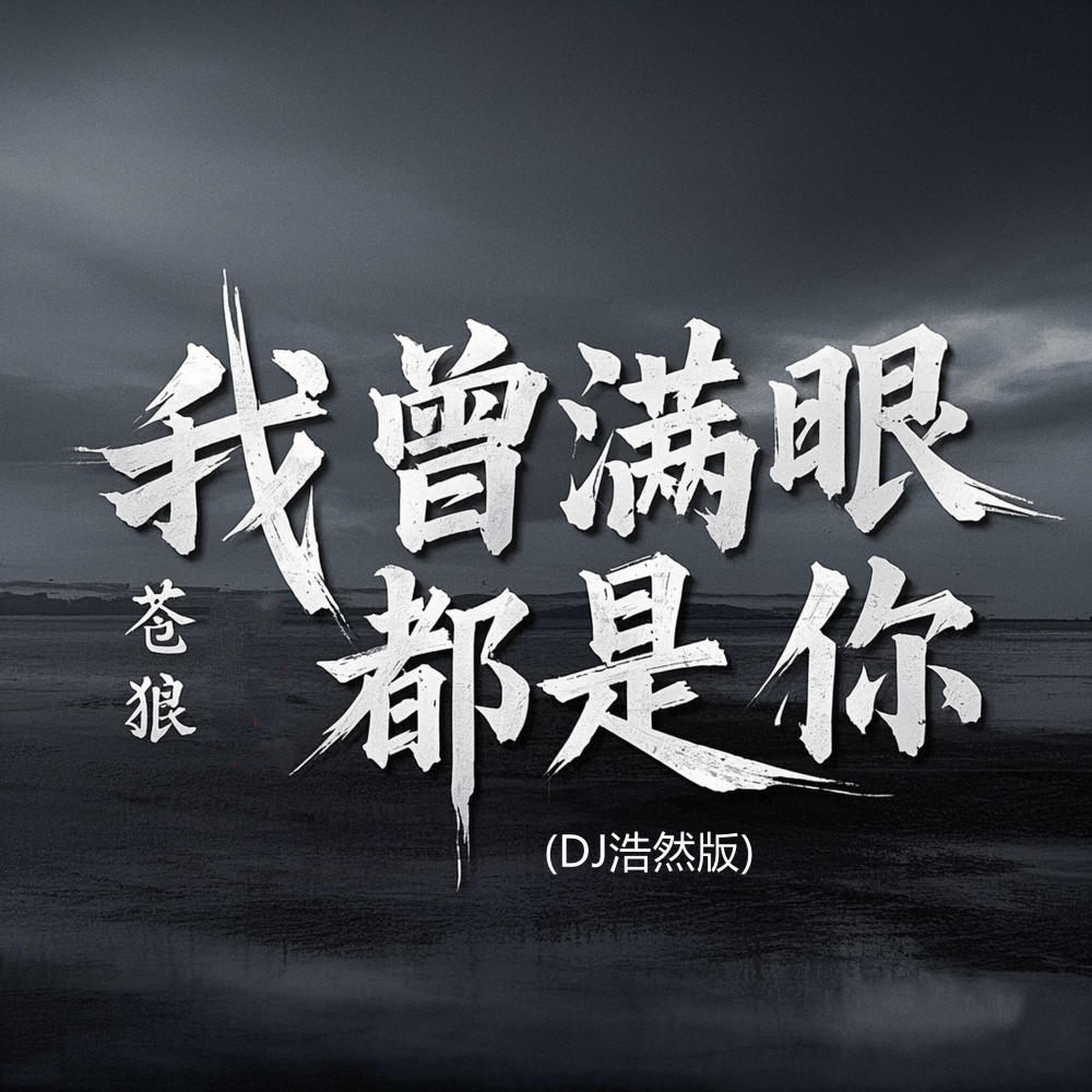 我从满眼都是你 (DJ浩然版)