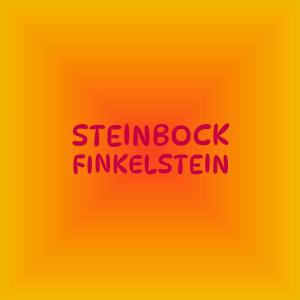 Various Artists的專輯Steinbock Finkelstein