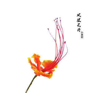 Listen to 凤凰花开 (伴奏) song with lyrics from 幸运女神