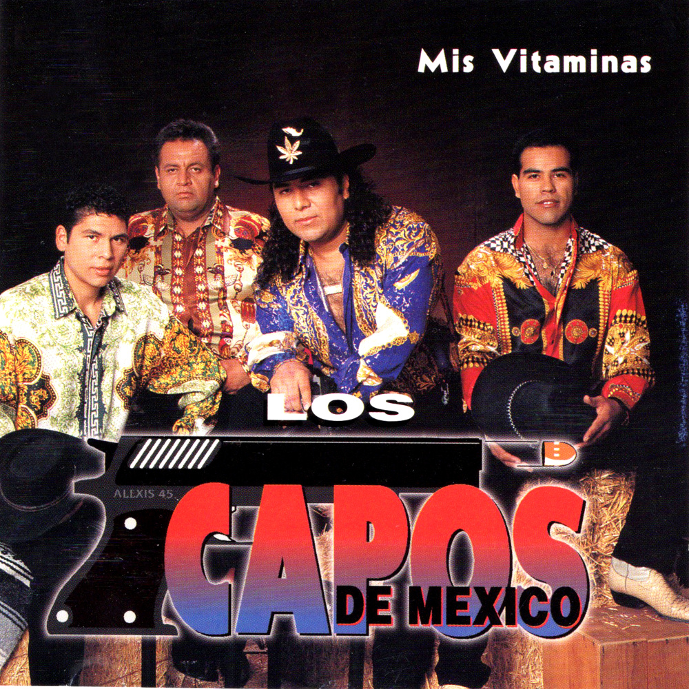 Viviendo a Medias
